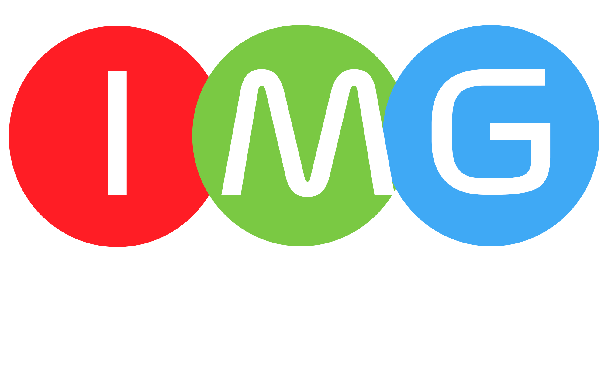 IMG logo white